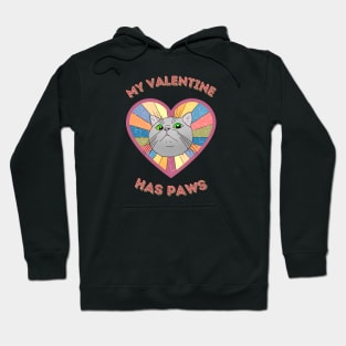 My Valentine has paws- a retro vintage design with a cute cat Hoodie